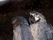 114_6387.JPG